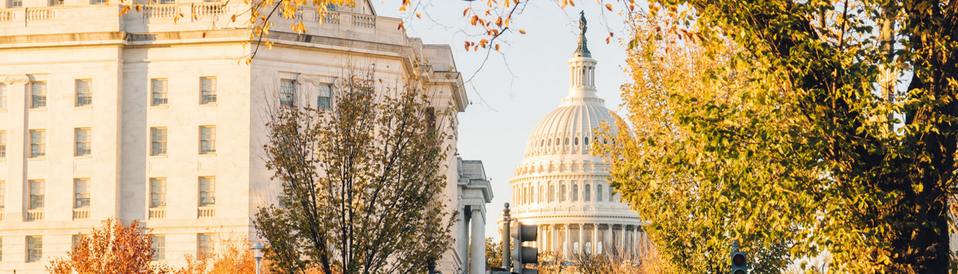 Capitol Hill DC Real Estate & Capitol Hill, Washington DC Homes and